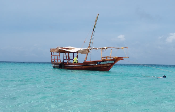 1 Day Dolphin Snorkeling Excursion in Watamu from Mombasa