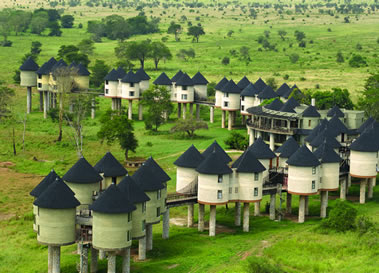 Read more about the article 2 Days Tsavo East And Saltlick Safari Lodge