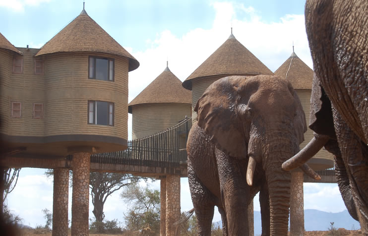 Read more about the article 4 Days Tsavo West, Amboseli & Taita Hills/Saltlick