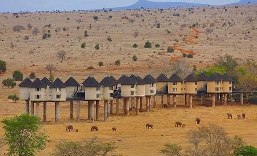 Read more about the article 3 Days Tsavo East And Saltlick Safari Lodge