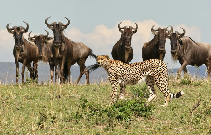 4-days-lake-nakuru