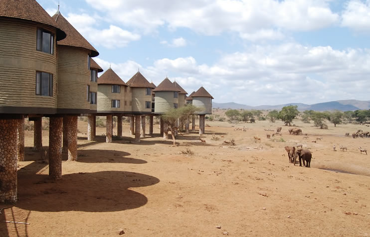 Read more about the article 2 Days Tsavo East And Saltlick Safari Lodge